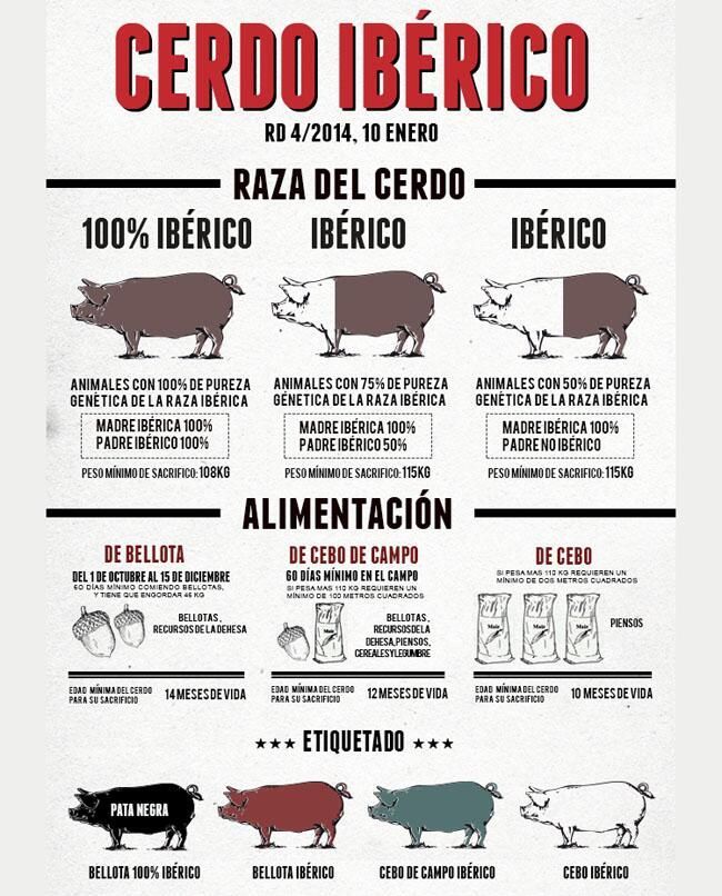 productos maximo raza alimentacion cerdo iberico